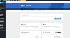 Bluehost's home page.