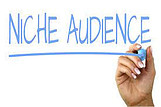 niche's audience